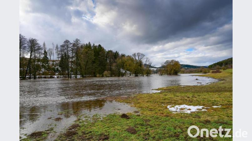 Für Überschwemmung am Fichtelnaabufer bei Grötschenreuth sorgte das Tauwetter der vergangenen Tage. Bild: sds