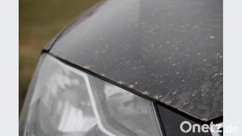 Da ist sie, die Wüste in der Oberpfalz - sichtbar auf der Motorhaube eines Autos. Bild: gri