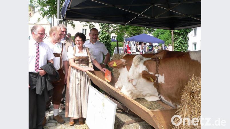 Besondere Aufmerksamkeit genießen beim Eschenbacher Bauernmarkt stets die Kühe von Franz Völkl. Die heuer wieder geplante Großveranstaltung wird wegen der Corona-Pandemie jedoch abgesagt. Archivbild: rn