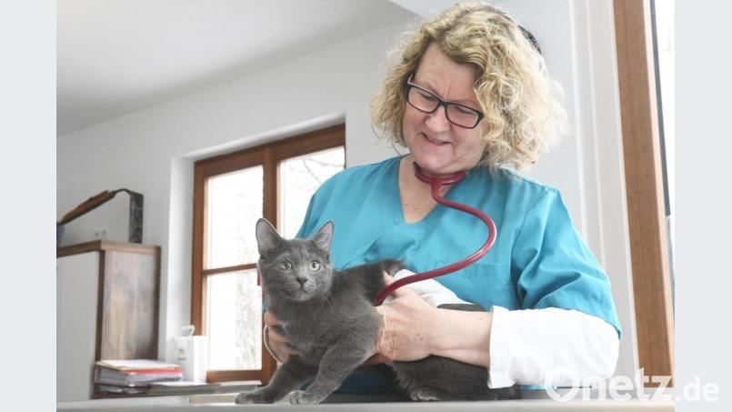 Yvonne Federl betreibt eine Kleintierpraxis in Vohenstrauß und hat große Probleme, einen Praxispartner zu finden. Der Tierarztmangel auf dem Land hat für ihre Patienten und deren Herrchen auch Auswirkungen auf die Erreichbarkeit im Notfall. Bild: Gabi Schönberger