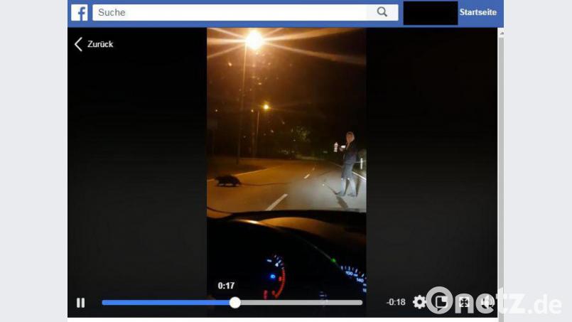 Ein junger Mann hilft einem Biber, einen Ast zu tragen. Screenshot: Facebook