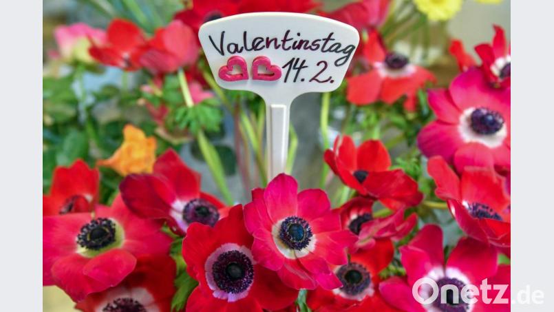 Blumenläden dürfen am kommenden Sonntagmorgen Blumen verkaufen, wenn auch nur zur Abholung im sogenannten „Click&Collect“ und ohne vorherige Besichtigung im Geschäft. Bild: Patrick Pleul