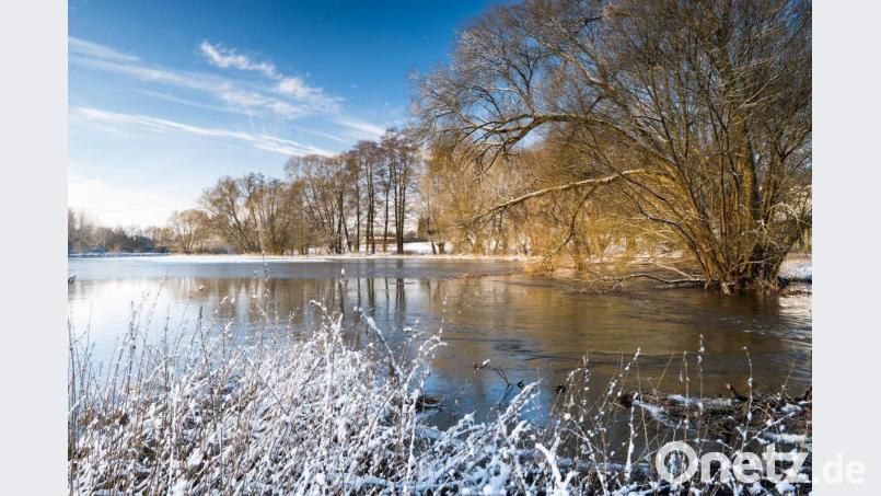 Die Wondreb in der Nähe des ehemaligen Klosterguts Mitterhof. Bild: Matthias Kunz/exb