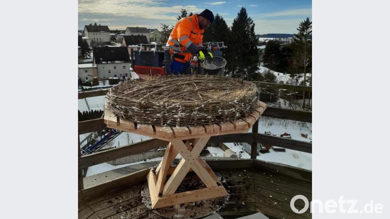 Markus Süß gehört zu den Männern des Bauhofteams, die das neue Storchennest auf dem Salzsilo in 20 Metern Höhe errichteten. Bild: Stadt Vohenstrauß/exb