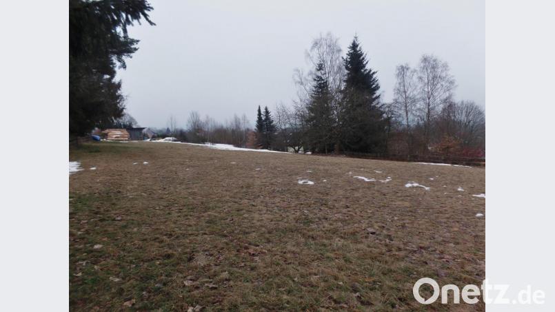 Das Bild zeigt den westlichen Bereich des Baugebiets „Neusorg-Mitte“. Auf der linken Seite soll eine Siedlungsstraße gebaut werden, welche das Baugebiet von West nach Ost verbinden soll. Bild: br