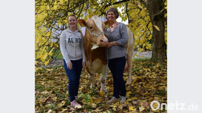 Die Kuh „Asti“, geboren: 15. Juni 2007, mit Praktikantin Melissa (links) und Brigitte Wittmann aus Ilsenbach (Gemeinde Püchersreuth ) ist eine der “Golden Girls“ mit bemerkenswerter Lebensleistung im Landkreis Neustadt/WN. Bild: Traxinger/exb