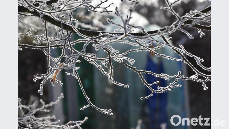 Die aktuellen Temperaturen sorgen auch für beeindruckende Motive in der Natur. Bild: KuBZ/exb