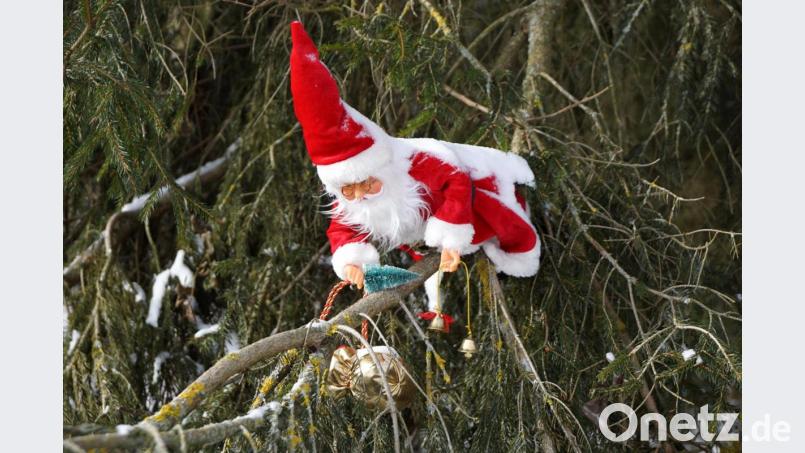 Der erste Besucher des Waldkindergartens. Auf einem Fichtenast an der Wegegabelung wartet er. Bild: bkr