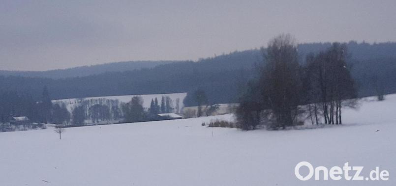 Der Wirtsweiher, der früher das Eis für die Kühlung lieferte. Bild: ld