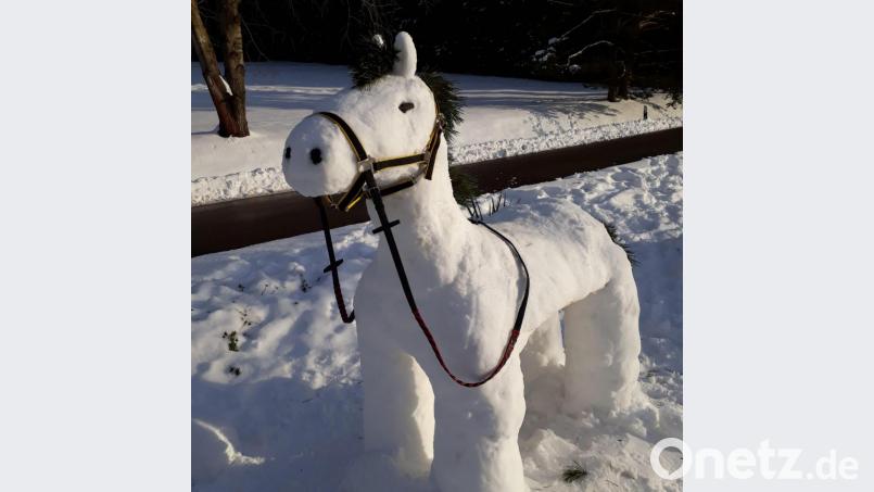 Laura und Marina haben sich mächtig angestrengt und Schneepferd Chicco gebaut. Bild: Robert Meidl/exb