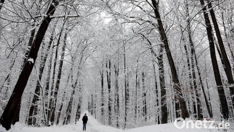 Der Winter hat die Oberpfalz im Griff. Bild: Wolfgang Steinbacher