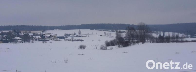 In einer kleinen Baumgruppe an der Straße nach Mehlmeisel befindet sich der Wirtsweiher, der früher das Eis für die Kühlung lieferte. Bild: ld