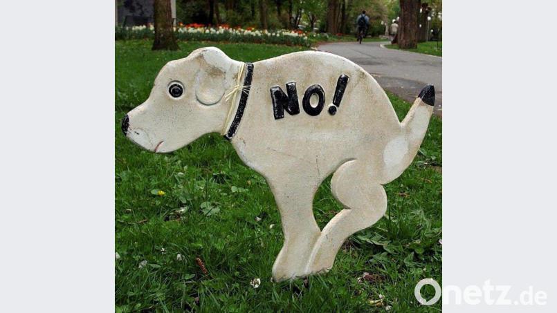 Die Entsorgung des Hundekots verursacht nicht unerhebliche Kosten für die Gemeinde Weiherhammer. Deshalb soll das Thema Hundesteuer näher beleuchtet werden. Archivbild: Wilck