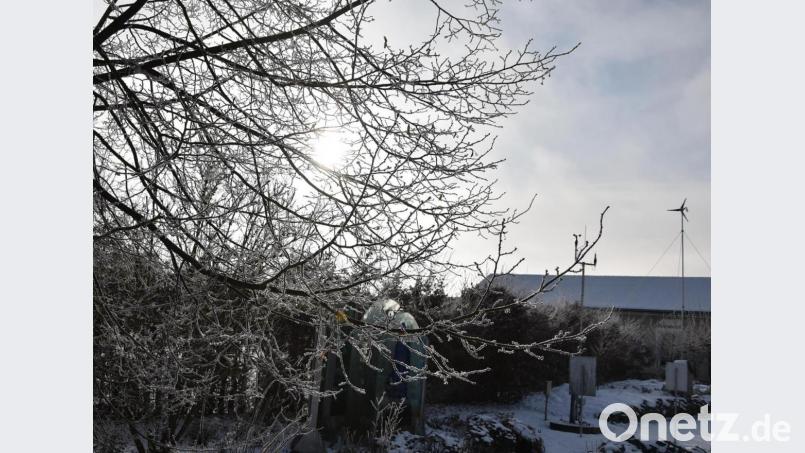 Winterruhe herrscht zurzeit im Naturerlebnisgarten auf dem Gelände des Klosters Waldsassen. Die CSU-Landtagsfraktion hat die institutionelle Förderung der Stiftung Kultur- und Begegnungszentrum Abtei Waldsassen dieses Jahr um 37.000 Euro aufgestockt, damit der durch Corona beeinträchtigte Betrieb fortgesetzt werden kann. Bild: KuBZ/exb