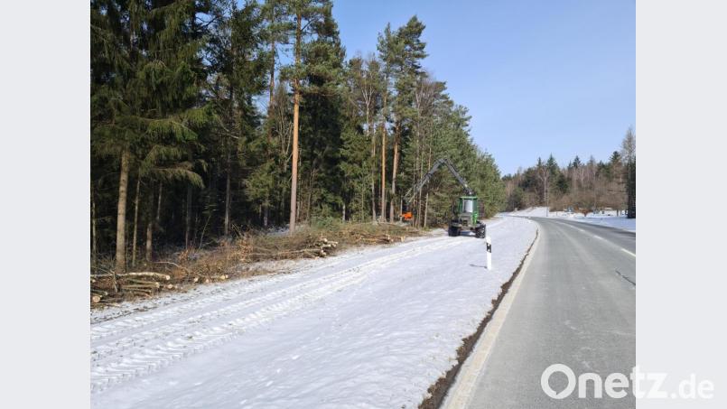 Die Rodungsarbeiten entlang der Bundesstraße 470 haben bereits begonnen. Dort soll bald ein Fahrradweg von Riggau nach Hessenreuth führen. Bild: sne