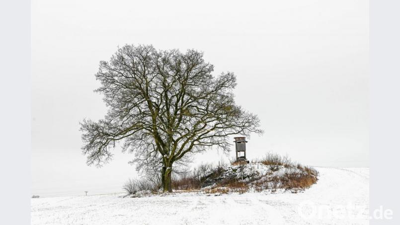 Spaziergänge tun der Gesundheit gut. Zudem lassen sich dabei tolle Fotomotive finden. Bild: sds