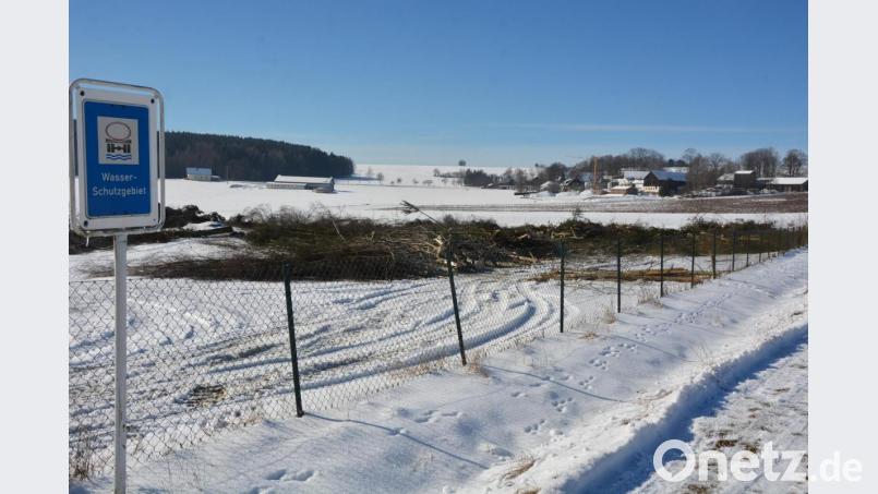 Baumfällungen finden derzeit im Quellgebiet des Wasserversorgungs-Zweckverbandes „Konnersreuther Gruppe“ statt – hier im Bild ein Bereich bei Groppenheim. Der Grund ist, dass ein möglicher bakterieller Eintrag ins Rohwasser durch einwachsende Wurzeln verhindert werden soll. Bild: jr