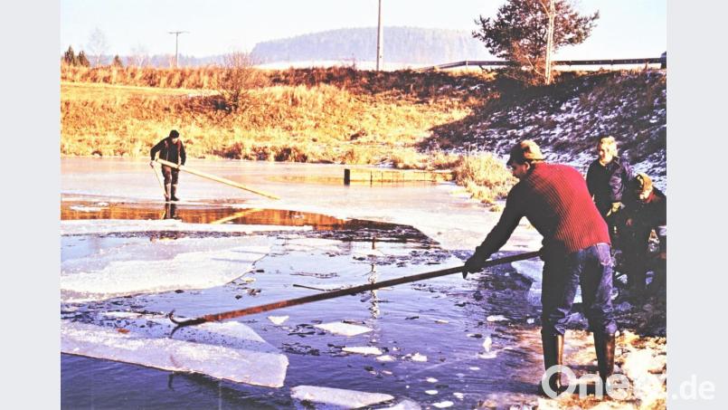 Mitarbeiter der Brauerei Pröls bei der "Eisernte" vor 30 Jahren auf einem Niedermuracher Weiher. Mit hakenbewehrten Stangen werden die Eisblöcke zur Verladung an Land gezogen. Archivbild: lg