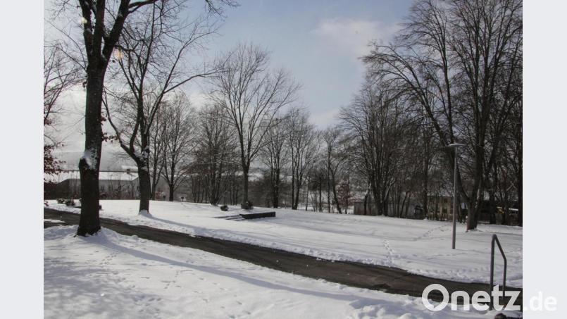 Auf diesem Verkehrserziehungsplatz sollen einige Bäume gefällt werden. Bild: kro