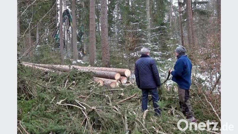 Bürgermeister Joachim Neuß lässt sich von Diplom-Forstwirt Matthias Helm über den Stand der Arbeiten informieren. Bild: jma