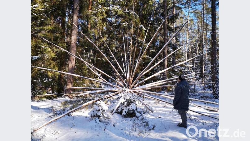 Das Kunstobjekt "Virus" von Florian Zeitler gibt es im "Kunstwaldgarten" bei Burglengenfeld zu bestaunen Bild: Thomas Dobler