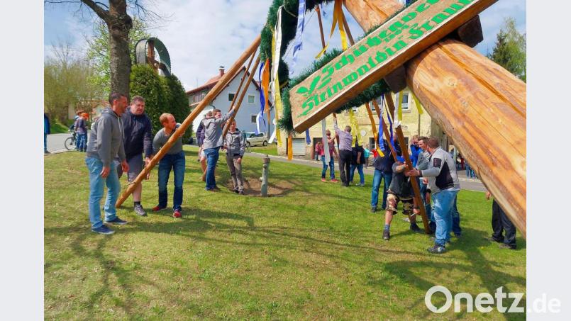 Nachdem das Maibaumaufstellen (hier ein Bild aus dem Jahr 2019) des Schützenvereins Frauenreuth wegen der Corona-Pandemie schon 2020 ausgefallen ist, wird es vermutlich auch heuer kein Frühlingssymbol auf dem Dorfanger in Frauenreuth geben. Archivbild: bsc