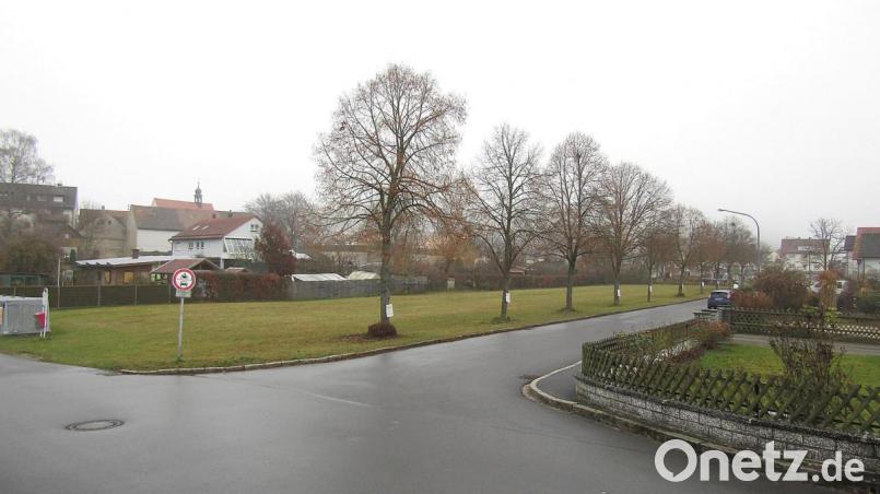 Das Areal in der Adolf-Kolping-Straße, auf dem der Wohnpark entstehen soll, gegen den sich das Bürgerbegehren wendet. Bild: sck
