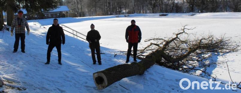 Thomas Pelzer (von links), Bürgermeister Wolfgang Söllner, Bernd Würstl (Vorsitzender Förderverein) und Thomas Graf (stellvertretender Vorsitzender Förderverein) begutachteten die Arbeiten im Freibad Selingau. Da der Boden gefroren war, entstanden bei der Baumfällaktion keine Schäden am Freigelände. Bild: soj