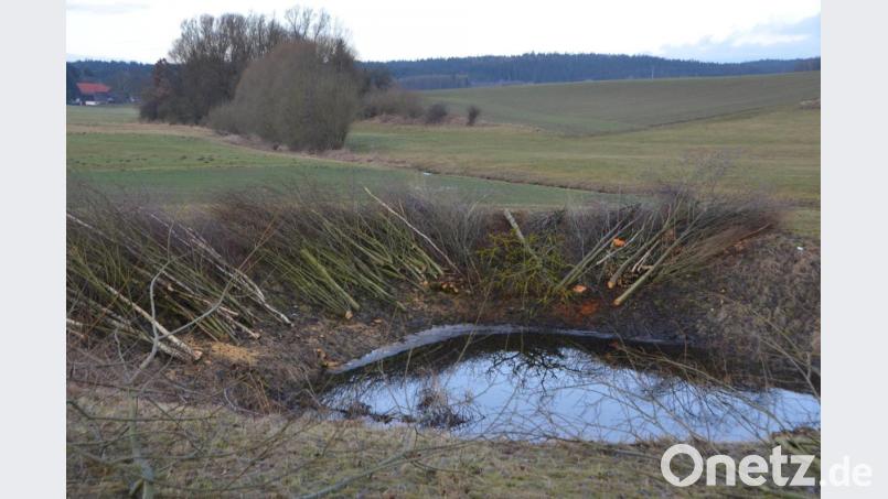 Umweltfrevel oder notwendige Maßnahme? Naturverbundene Menschen bedauern den Kahlschlag. Die Sträucher waren Heimat für viele Singvögel. Verantwortliche begründen die Maßnahme mit Sicherheitsregularien. Bild: dob