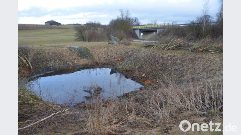 Umweltfrevel oder notwendige Maßnahme? Naturverbundene Menschen bedauern den Kahlschlag. Die Sträucher waren Heimat für viele Singvögel. Verantwortliche begründen die Maßnahme mit Sicherheitsregularien. Bild: dob