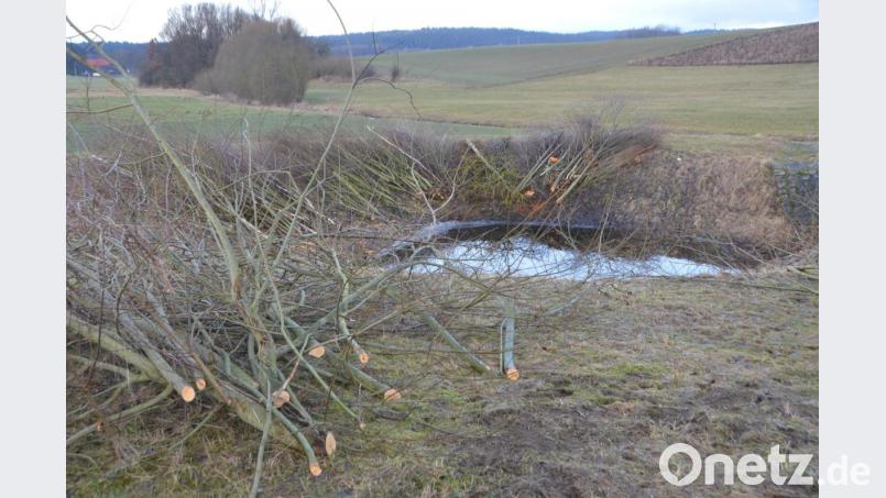 Umweltfrevel oder notwendige Maßnahme? Naturverbundene Menschen bedauern den Kahlschlag. Die Sträucher waren Heimat für viele Singvögel. Verantwortliche begründen die Maßnahme mit Sicherheitsregularien. Bild: dob