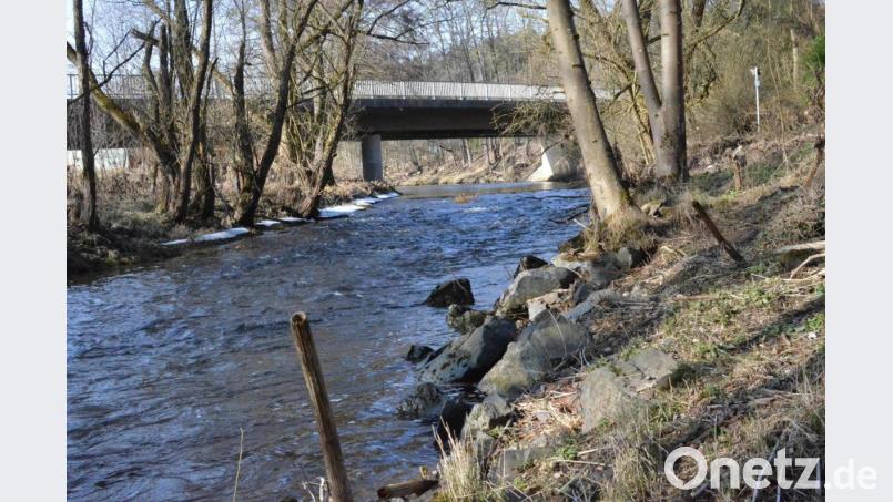 Die SPD möchte die Fichtelnaab im Stadtgebiet über einen Uferpfad erlebbarer machen. Das Bild zeigt den Fluss bei der Brücke auf Höhe der Bahnhofstraße. Bild: Benkhardt