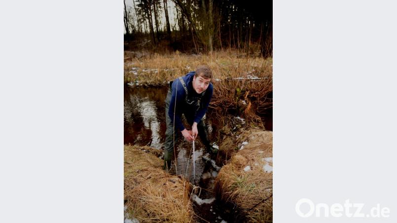 Matthias Schreml, Juniorchef der Firma Ludwig Schreml, Trutzhofmühle, liest am Meterstab einen aktuellen Überstau gegenüber dem zulässigen Pegel von rund 20 Zentimeter ab. Bild: bey