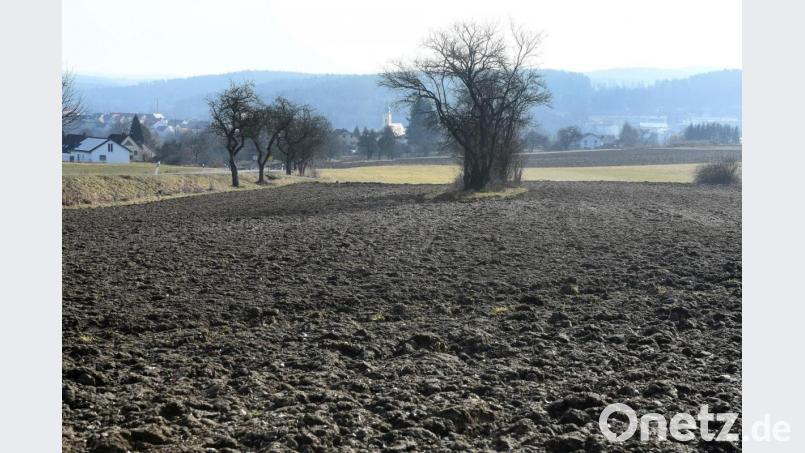 Sofern Grundstücksbesitzer verkaufsbereit wären, könnte sich die CSU auf diesem Areal zwischen Breitem Weg und A 93 ein neues Baugebiet vorstellen. Bild: Gabi Schönberger