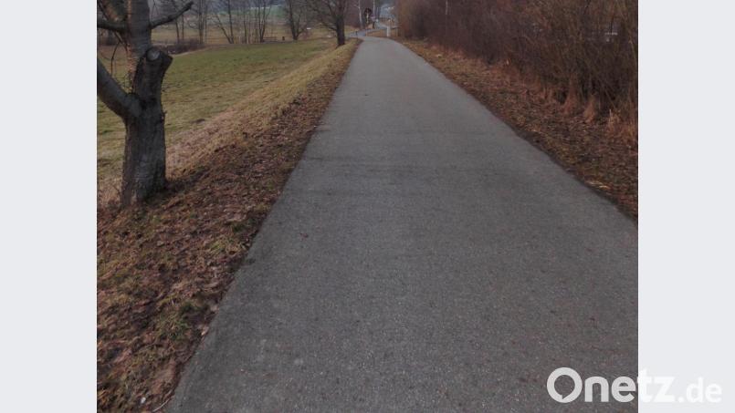 Der Fichtelnaabradweg (im Bild) wird im Bereich der Überquerungshilfe auf drei Meter verbreitert und gleichzeitig für einen behindertengerechten und barrierefreien Zugang angehoben. Bild: br