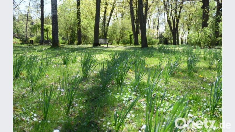Trotz nun sinkender Temperaturen bleibt der Regen vieler Orts erstmal aus. Nächste Woche kommt der Frühling zurück. Bild: Gabi Schönberger