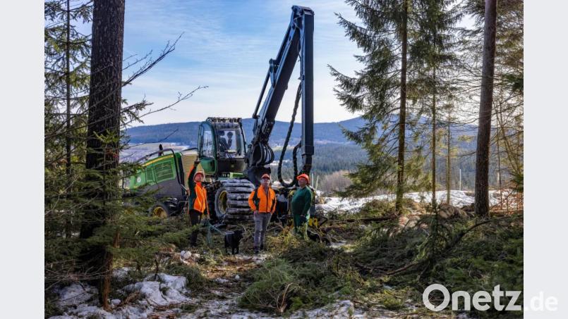 Arbeitsplatz mit Ausblick auf die Kösseine: Bernhard Kraus und Josef Scherm, Mitarbeiter bei den Bayerischen Staatsforsten, besprechen mit Harvesterfahrer Peter Pscherer die Holzerntemaßnahme bei Tröstau. Bild: Martin Hertel/exb
