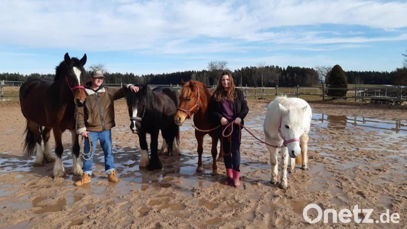 Steffi Mandry und Mario Riedel mit ihren Pferden Bounty, Sunshine, Josie und Sunny. Bild: Lowak