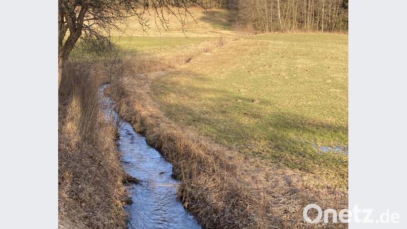 Der &quot;Mühlbach&quot; in der Tännesberger Flur. Bild: Josef Glas