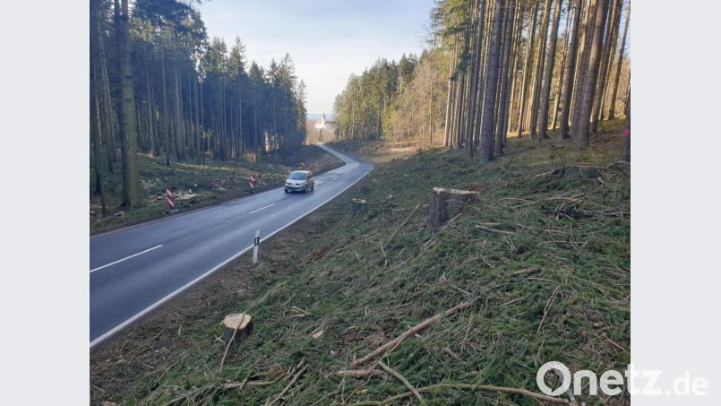 Im August soll die Erneuerung der Staatsstraße zwischen der Wenderer Höhe und Schwarzenbach starten. Im Waldstück vor Schwarzenbach wurden die Baumfällarbeiten neben der Straße bereits durchgeführt. In dem Abschnitt werden der Kurvenverlauf und die Höhenlage der Straße verbessert. Aktuell bietet die Schneise einen interessanten Blick auf die Schwarzenbacher Kirche. Bild: ws