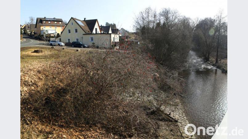 Hier könnte sich die SPD-Stadtratsfraktion einen Uferpfad vorstellen. Bild: njn