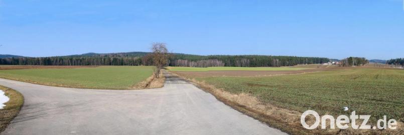 Ein Investor möchte im Ortsteil Voitenthan eine Freiflächen-Photovoltaikanlage errichten. Als Standort sind 6,5 Hektar (von der Bildmitte Richtung Waldrand hin zur Ortschaft Güttern, rechts im Bild) vorgesehen. Zustimmung erhielt das Vorhaben jedoch nur von zwei Gemeinderatsmitgliedern. Bild: bsc