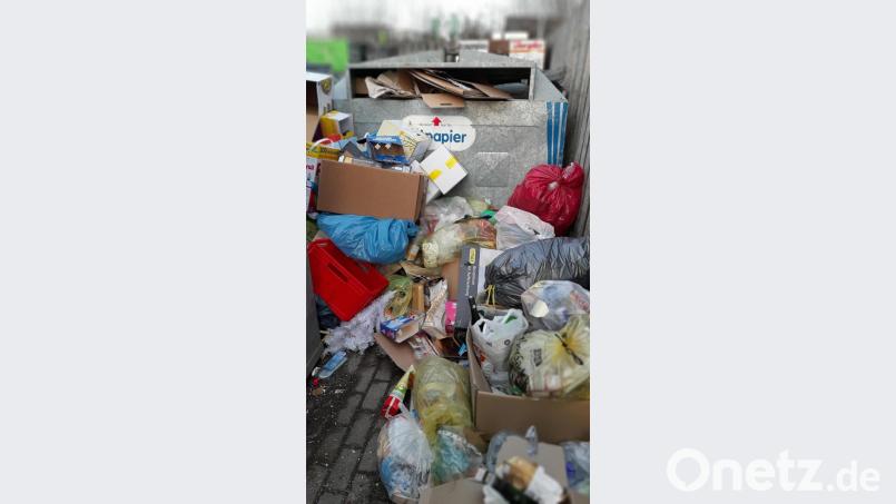 Übelriechend und nicht schön: Der Müllcontainerplatz in der Marie-Curie-Straße am Montagnachmittag. Bild: uz