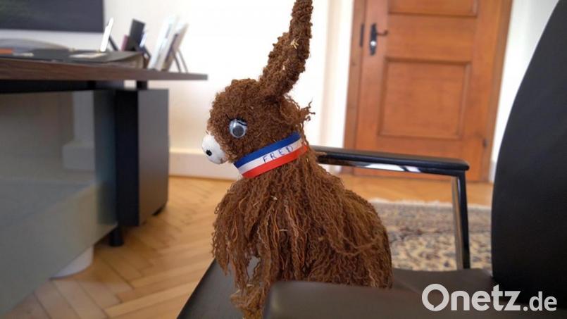 Der französische Esel zu Besuch beim Landrat. Bild: Landratsamt/exb