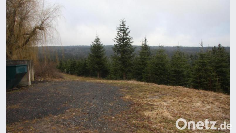 Die Fläche erfahre eine deutliche Aufwertung, verwies Bürgermeister Wolfgang Braun auf die geplanten Bäume, Büsche und Bodendecker am neuen Friedhofsparkplatz. Bild: wro