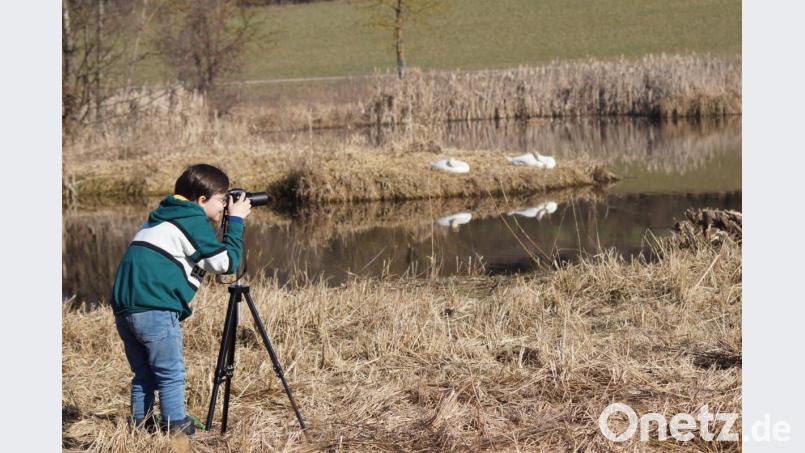 Und klick! Ob die Schwäne für Ferdinand Kohl wohl extra posieren? Bild: Rainer Kohl/exb