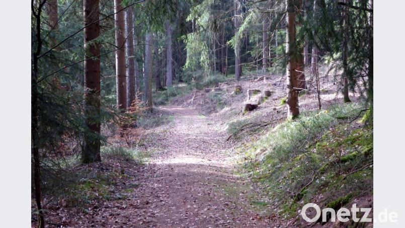 Die &quot;Hohe Straße&quot; auf dem Kammzug des Kohlbühls Bild: fsb