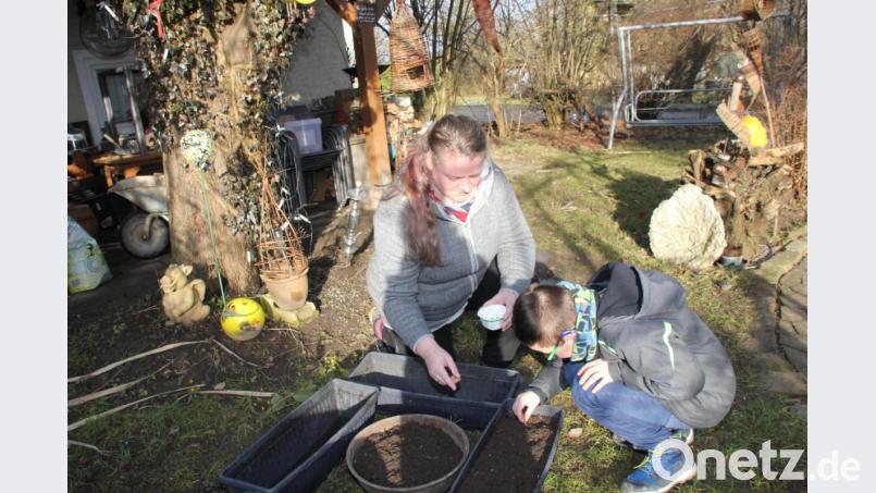 Daniela Dotzler hat mit Enkel Jonas mit dem Aussäen von Ringelblumen in in einen vorbereiteten Blumenkasten schon begonnen, einen Blumenuhr anzulegen, ein schönes Projekt, das Daniela Dotzler heuer mit ihrer Kindergruppe vom hiesigen OGV verwirklichen will. Der Kasten mit den Ringelblumen kommt für die nächsten Wochen auf die warme Fensterbank im Haus. Bild: ads