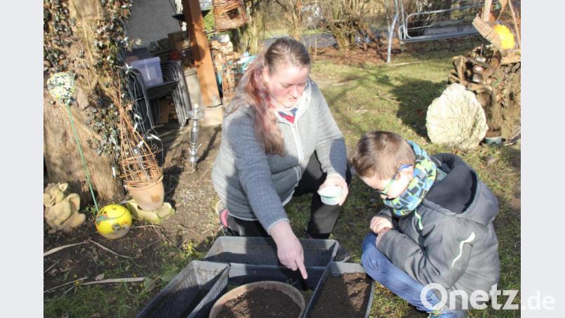Daniela Dotzler hat mit Enkel Jonas mit dem Aussäen von Ringelblumen in in einen vorbereiteten Blumenkasten schon begonnen, einen Blumenuhr anzulegen, ein schönes Projekt, das Daniela Dotzler heuer mit ihrer Kindergruppe vom hiesigen OGV verwirklichen will. Der Kasten mit den Ringelblumen kommt für die nächsten Wochen auf die warme Fensterbank im Haus. Bild: ads