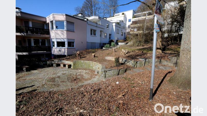 Schön schaut die radikale Abholzung am Lindenbrünnerl derzeit nicht aus. Doch das städtische Team Grün hat sich die Anlage gezielt vorgenommen und will hier eine Neubepflanzung vornehmen, die mehr als bisher auch ökologische Elemente aufgreift. Bild: Stephan Huber